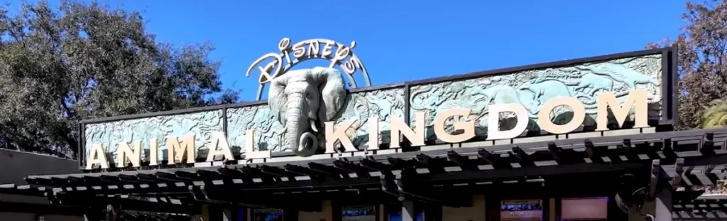 Disney Annual Passholder Magnet 2026