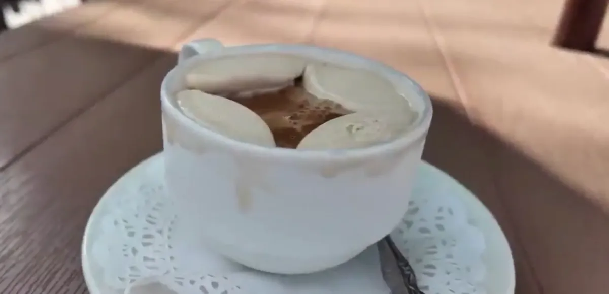 Vivoli il Gelato