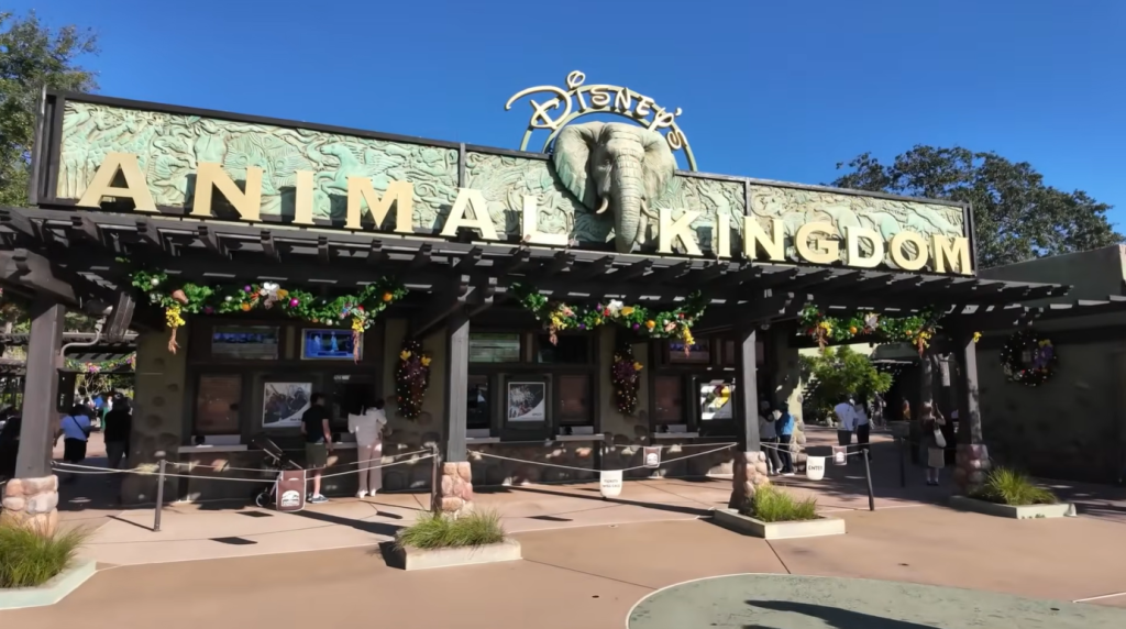 Disney animal kingdom